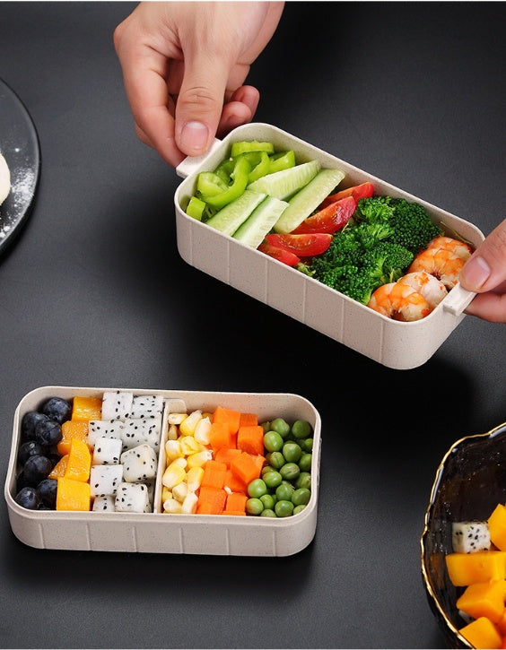 Microwave Dinnerware Lunch Box